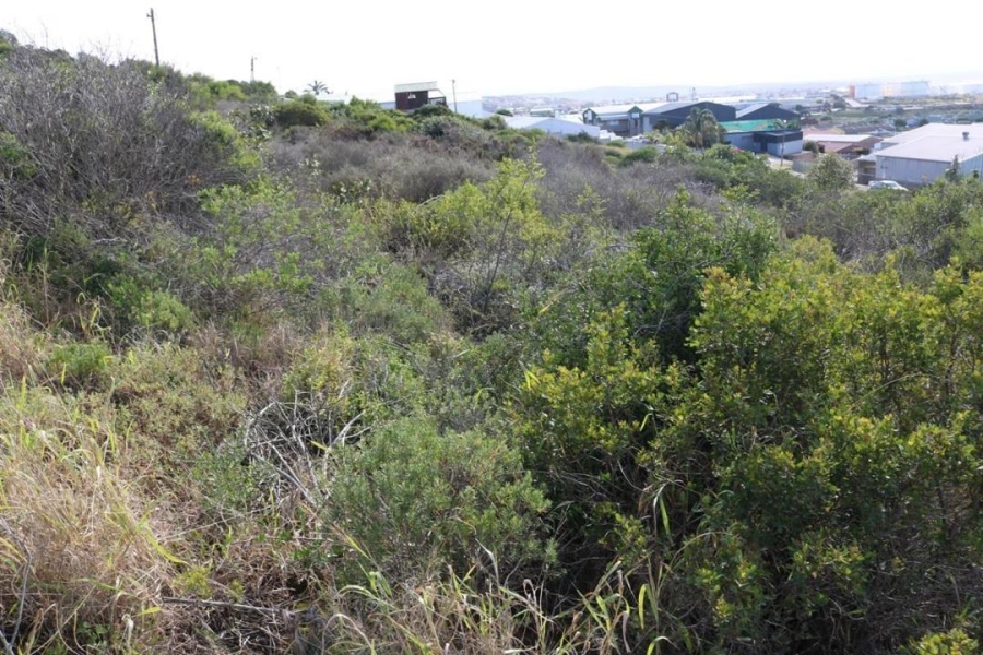 0 Bedroom Property for Sale in Voorbaai Western Cape